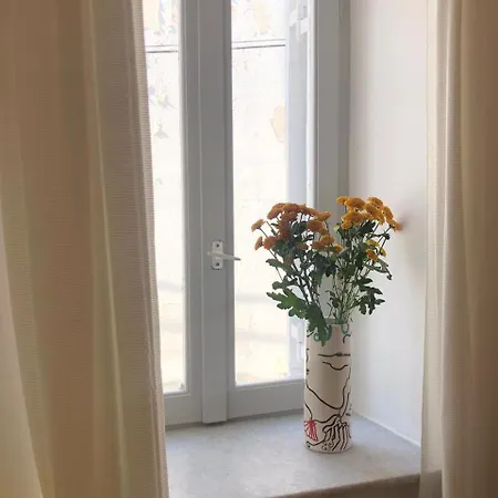 Holy Summer In Market Streets