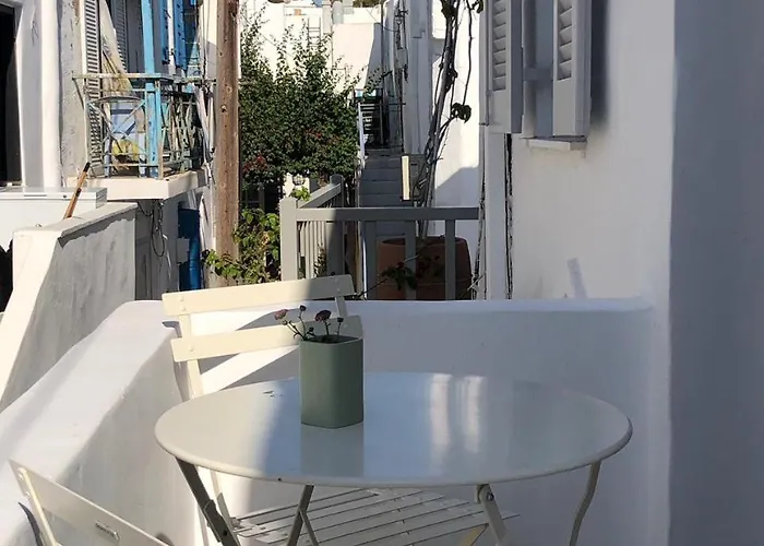 Holy Summer In Market Streets *