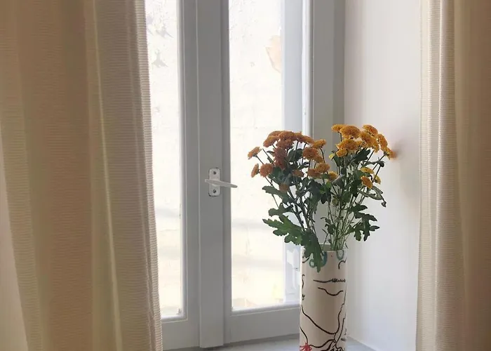 Holy Summer In Market Streets